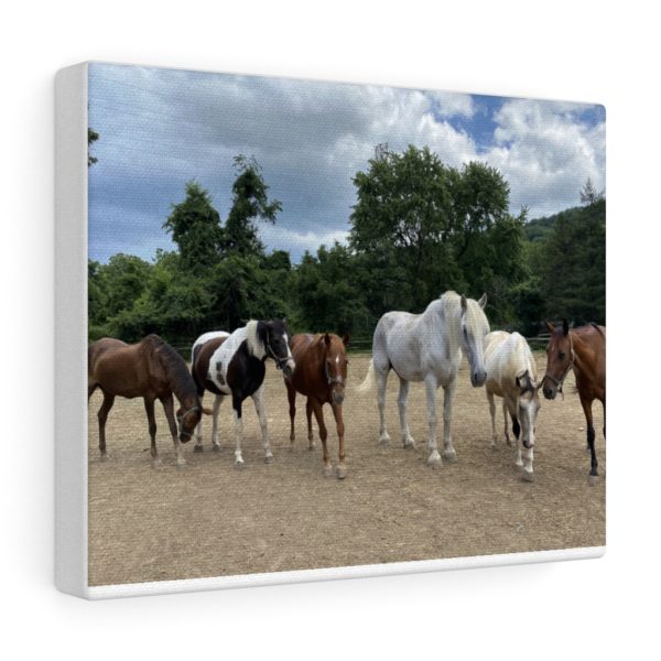 6 Horse Line Up (Front View) - Canvas Wrapped Wall Print - Image 7