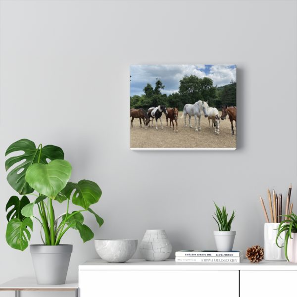 6 Horse Line Up (Front View) - Canvas Wrapped Wall Print - Image 8