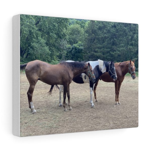 3 Horse Line Up (Side View) - Canvas Wrapped Wall Print - Image 7