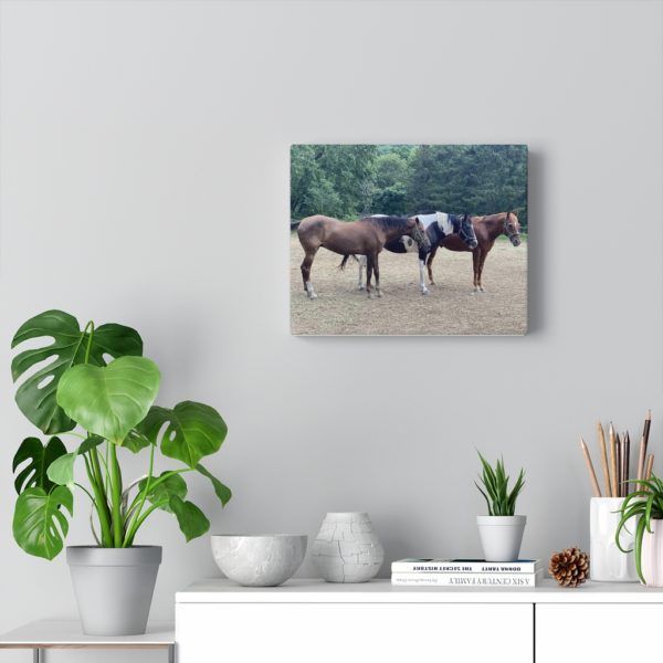 3 Horse Line Up (Side View) - Canvas Wrapped Wall Print - Image 8