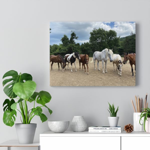 6 Horse Line Up (Front View) - Canvas Wrapped Wall Print - Image 2