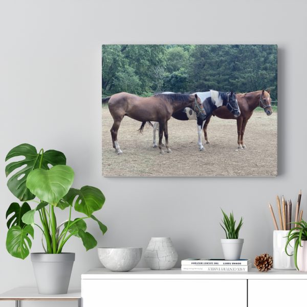 3 Horse Line Up (Side View) - Canvas Wrapped Wall Print - Image 2