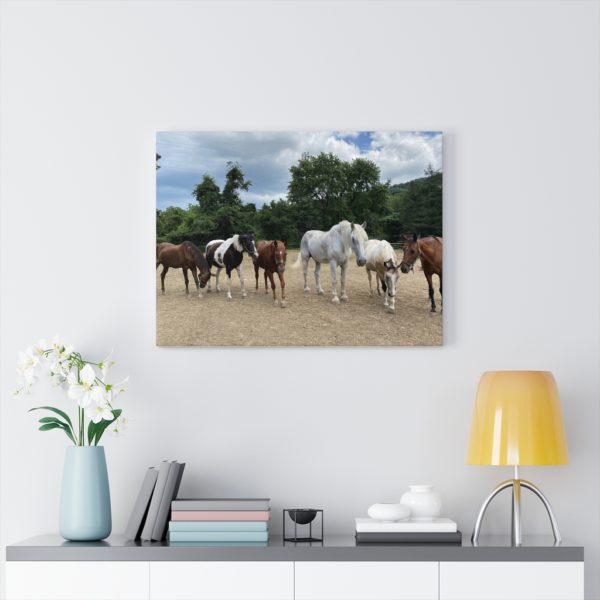 6 Horse Line Up (Front View) - Canvas Wrapped Wall Print - Image 4