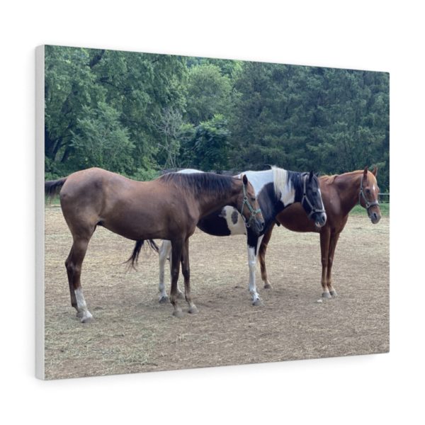 3 Horse Line Up (Side View) - Canvas Wrapped Wall Print - Image 3