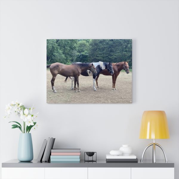 3 Horse Line Up (Side View) - Canvas Wrapped Wall Print - Image 4