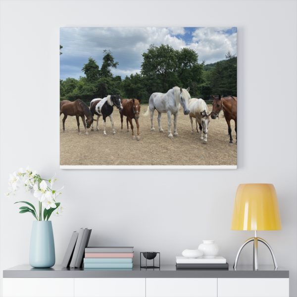 6 Horse Line Up (Front View) - Canvas Wrapped Wall Print - Image 6