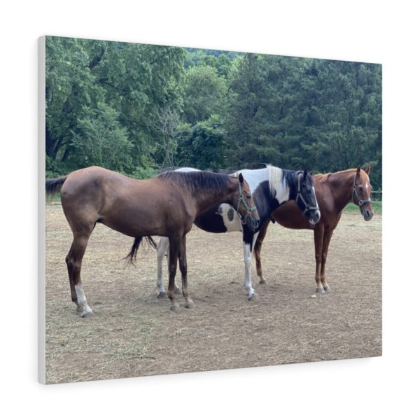 3 Horse Line Up (Side View) - Canvas Wrapped Wall Print - Image 5