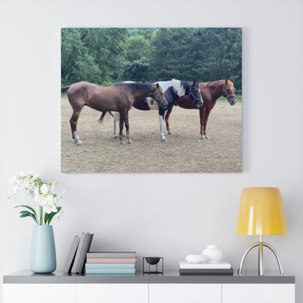 3 Horse Line Up (Side View) - Canvas Wrapped Wall Print - Image 6