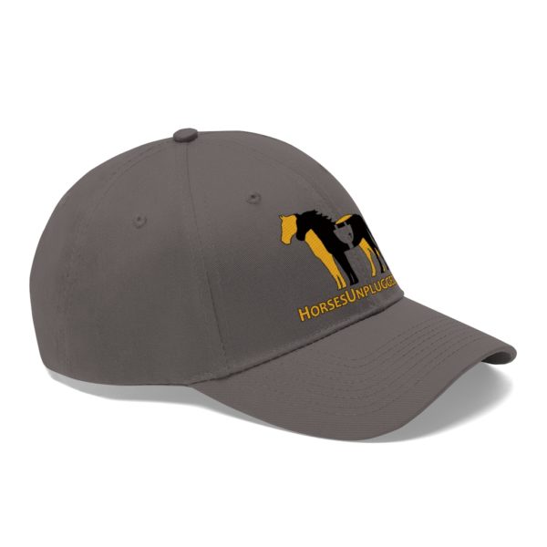 Icon Logo and Website on a Baseball Twill Hat, solid top - Image 5