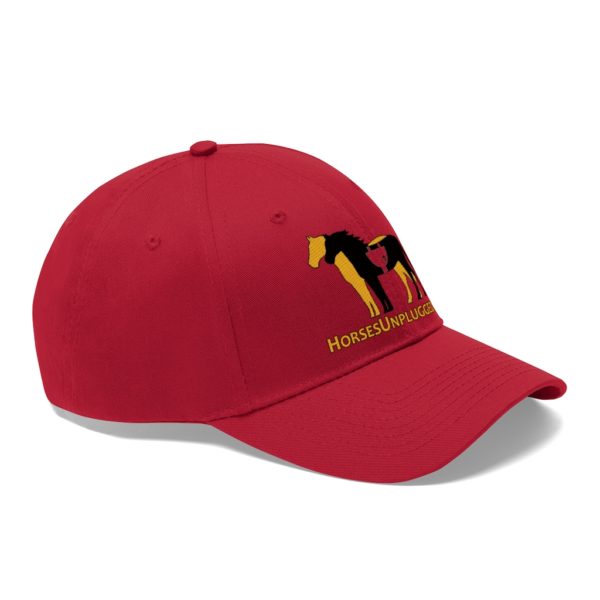 Icon Logo and Website on a Baseball Twill Hat, solid top - Image 28