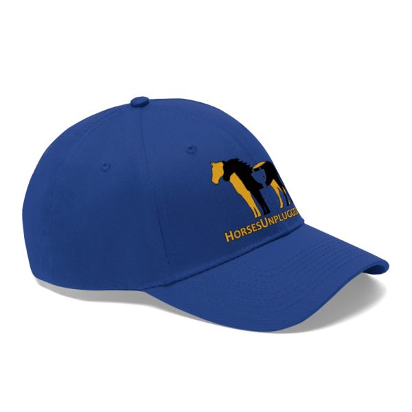 Icon Logo and Website on a Baseball Twill Hat, solid top - Image 20