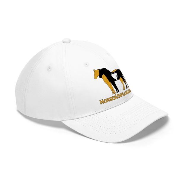 Icon Logo and Website on a Baseball Twill Hat, solid top - Image 2